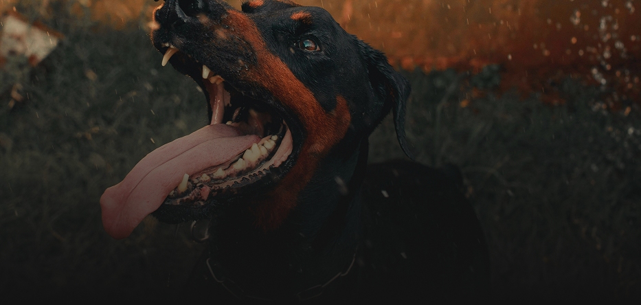 How Recent Changes In Corporate Securities Regulations Impact